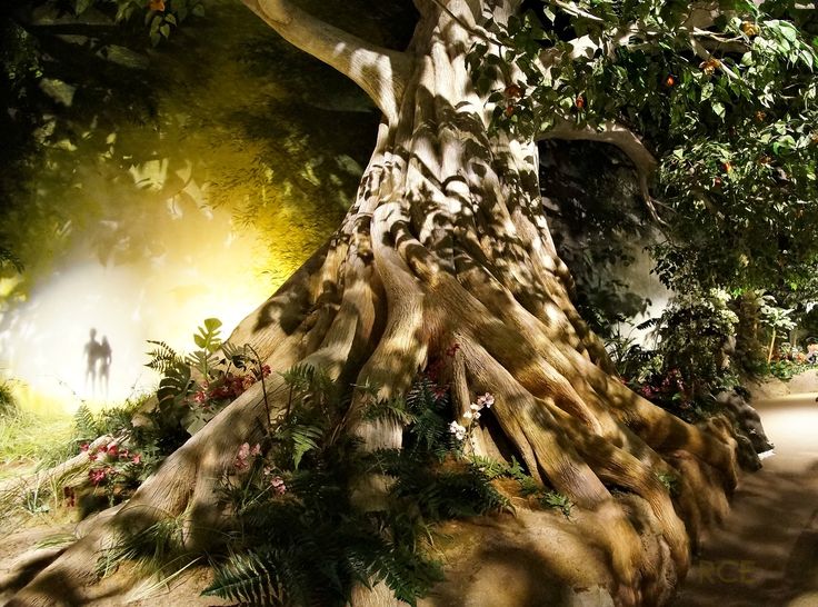 Тайна древа познания добра и зла